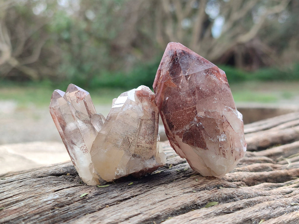 Natural Red Hematoid Quartz Crystals x 13 From Karoi, Zimbabwe - Toprock Gemstones and Minerals 