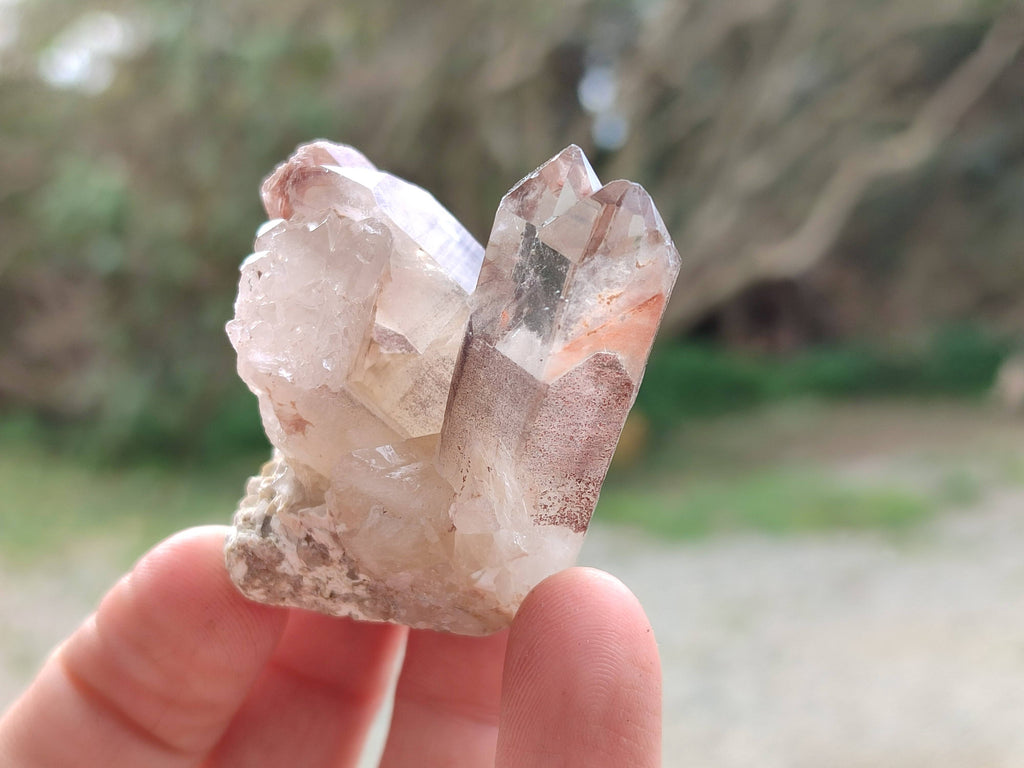 Natural Red Hematoid Quartz Crystals x 13 From Karoi, Zimbabwe - Toprock Gemstones and Minerals 