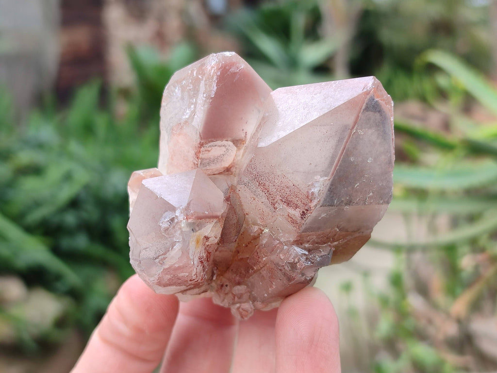 Natural Red Hematoid Quartz Crystals x 13 From Karoi, Zimbabwe - Toprock Gemstones and Minerals 
