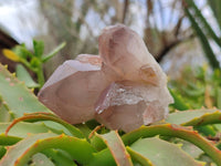 Natural Red Hematoid Quartz Crystals x 13 From Karoi, Zimbabwe - Toprock Gemstones and Minerals 