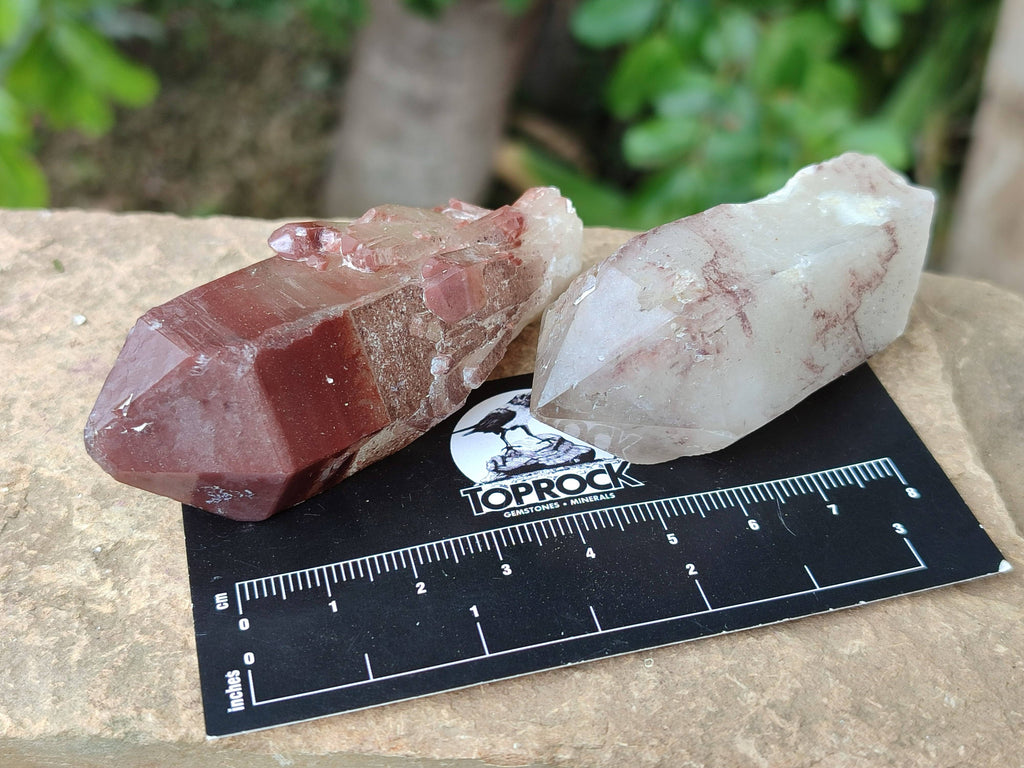 Natural Red Hematoid Quartz Crystals x 13 From Karoi, Zimbabwe - Toprock Gemstones and Minerals 