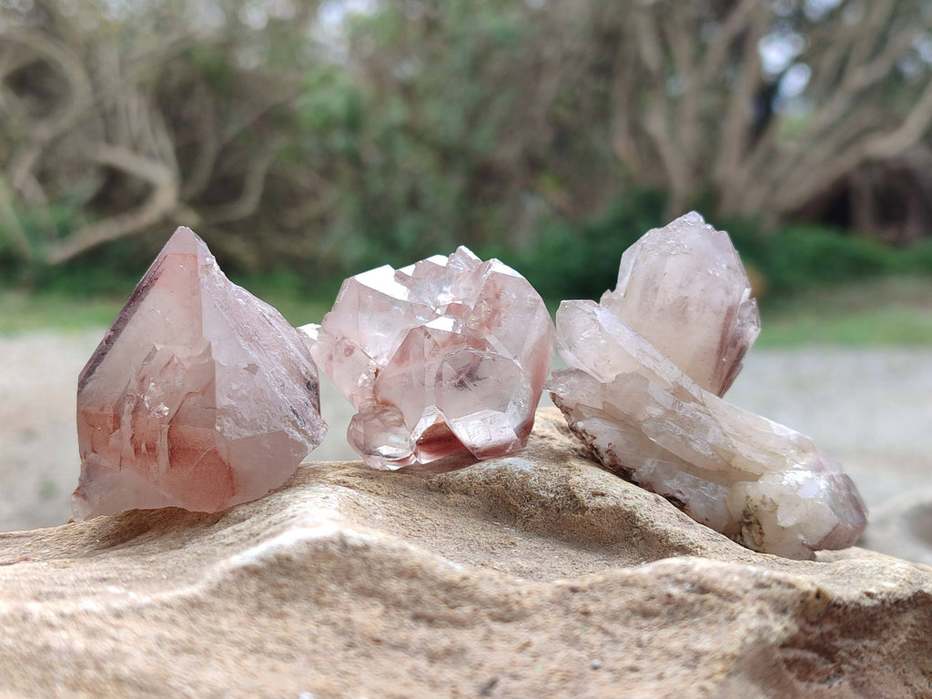 Natural Red Hematoid Quartz Crystals x 13 From Karoi, Zimbabwe - Toprock Gemstones and Minerals 