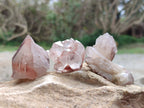 Natural Red Hematoid Quartz Crystals x 13 From Karoi, Zimbabwe - Toprock Gemstones and Minerals 