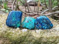 Polished Shattuckite Free Forms x 35 From Congo