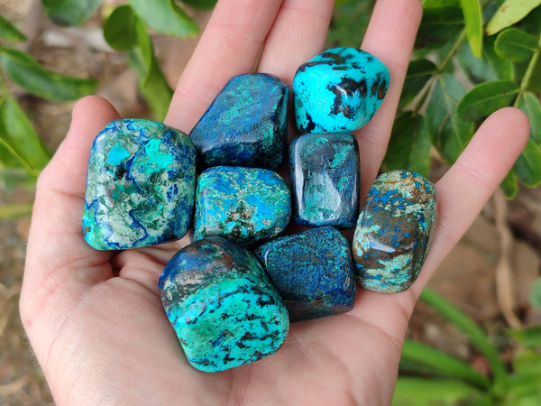 Polished Shattuckite Free Forms x 35 From Congo