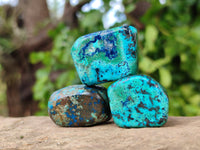 Polished Shattuckite Free Forms x 35 From Congo