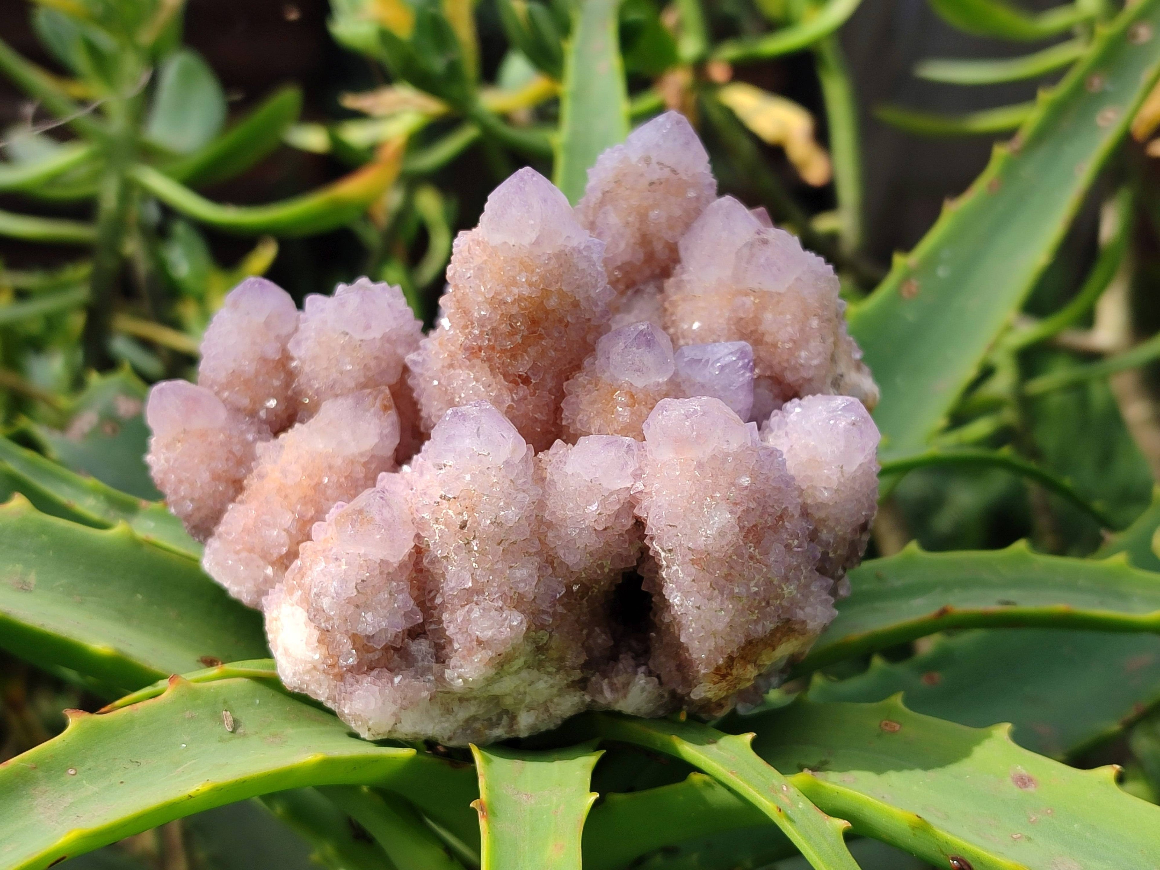 Natural Amethyst Spirit Quartz Clusters x 3 From Boekenhouthoek, South Africa - Toprock Gemstones and Minerals 