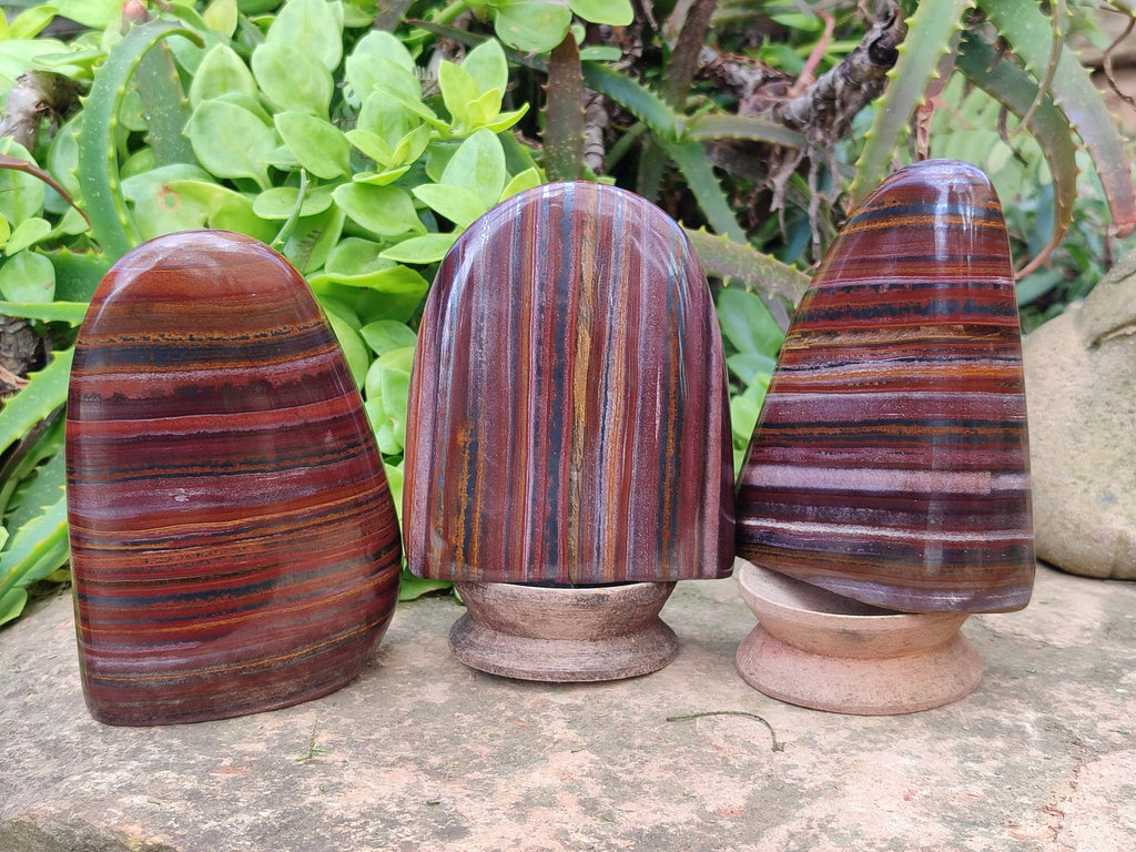 Polished Banded Tiger Iron Standing Free Forms x 3 From South Africa - Toprock Gemstones and Minerals 