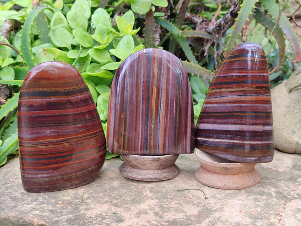 Polished Banded Tiger Iron Standing Free Forms x 3 From South Africa