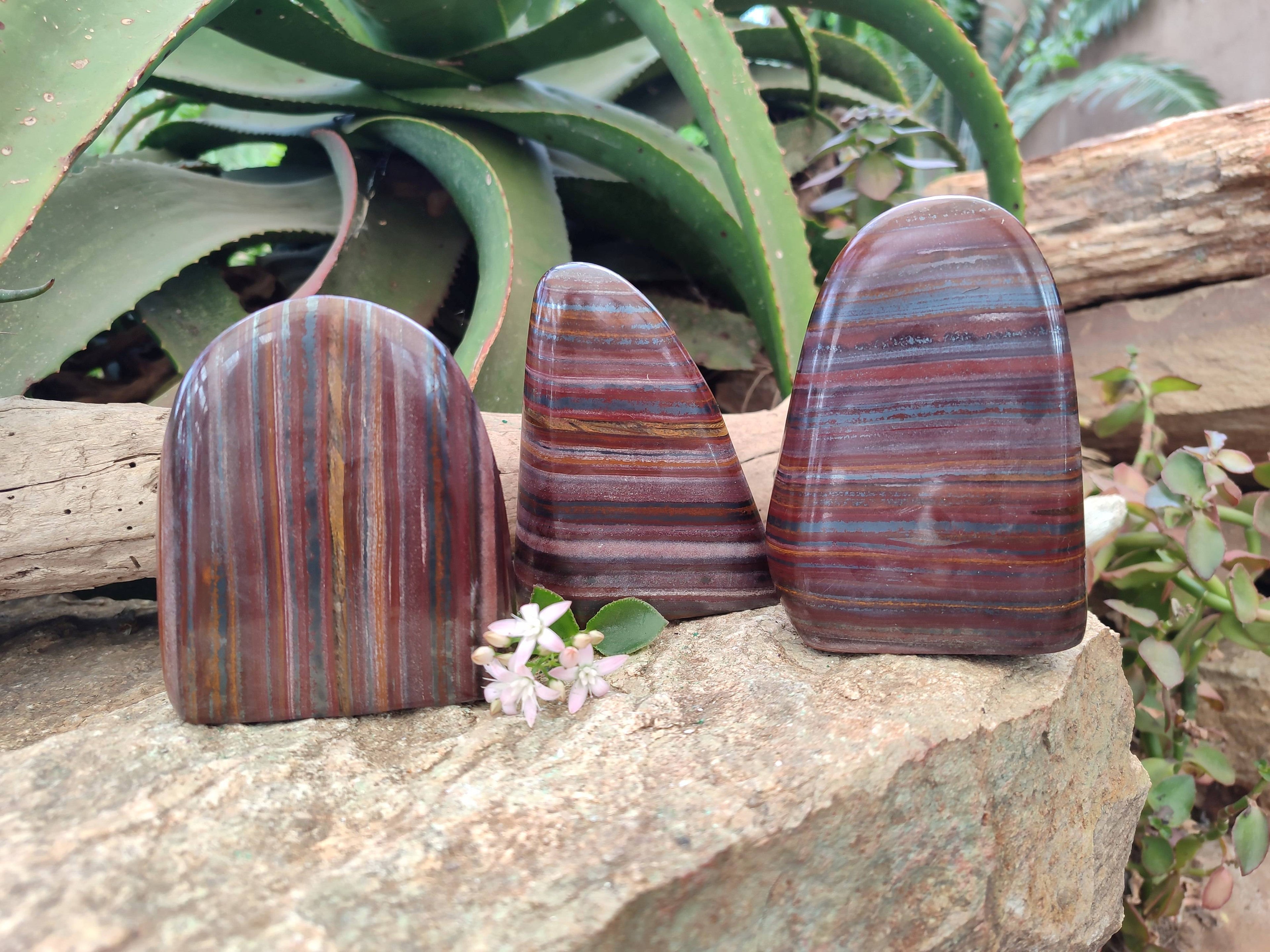 Polished Banded Tiger Iron Standing Free Forms x 3 From South Africa - Toprock Gemstones and Minerals 
