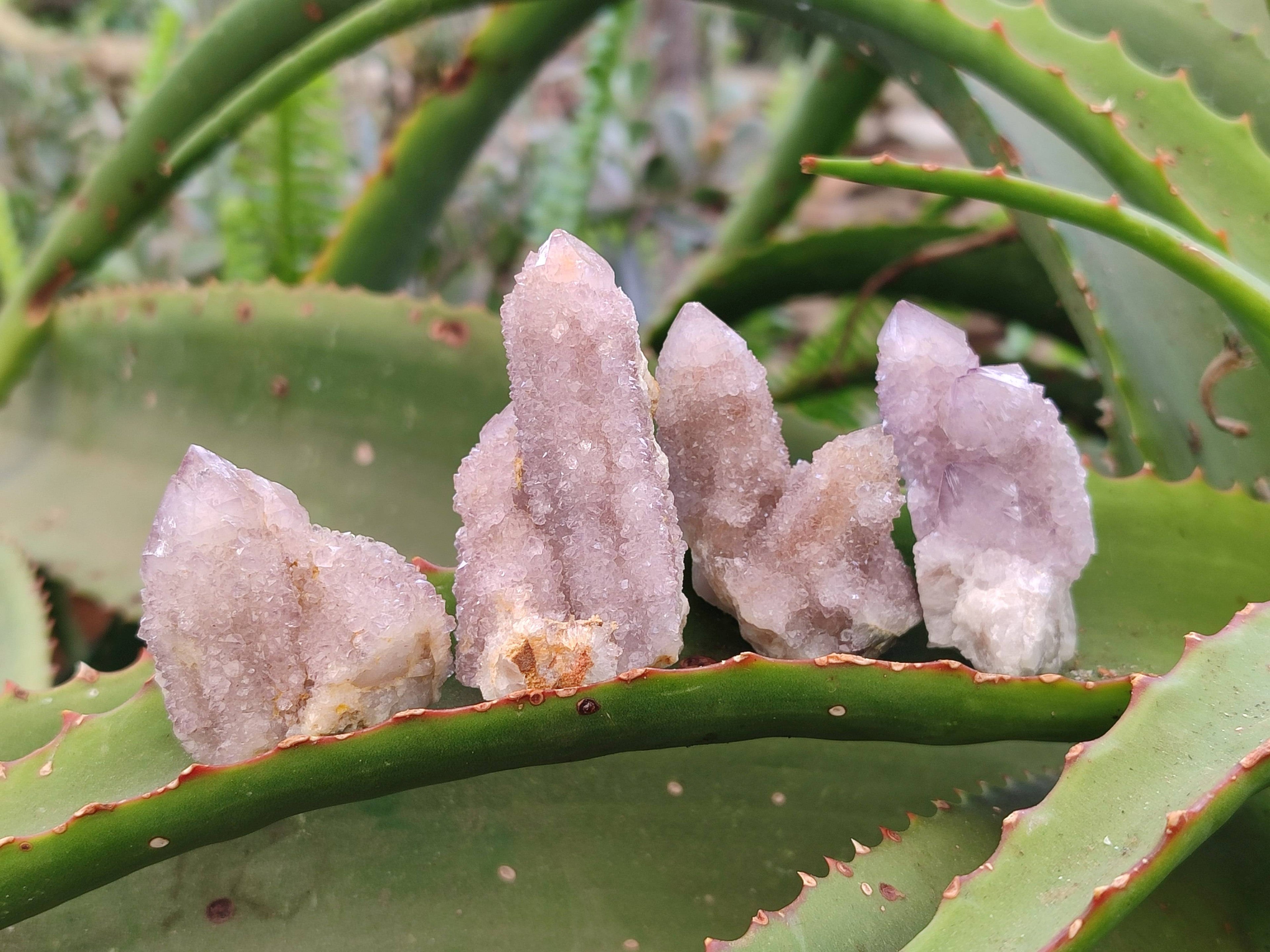 Natural Amethyst Spirit Quartz Crystals x 20 From Boekenhouthoek, South Africa - Toprock Gemstones and Minerals 