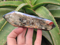 Polished Bloodstone Double Terminated Points x 6 From Swaziland