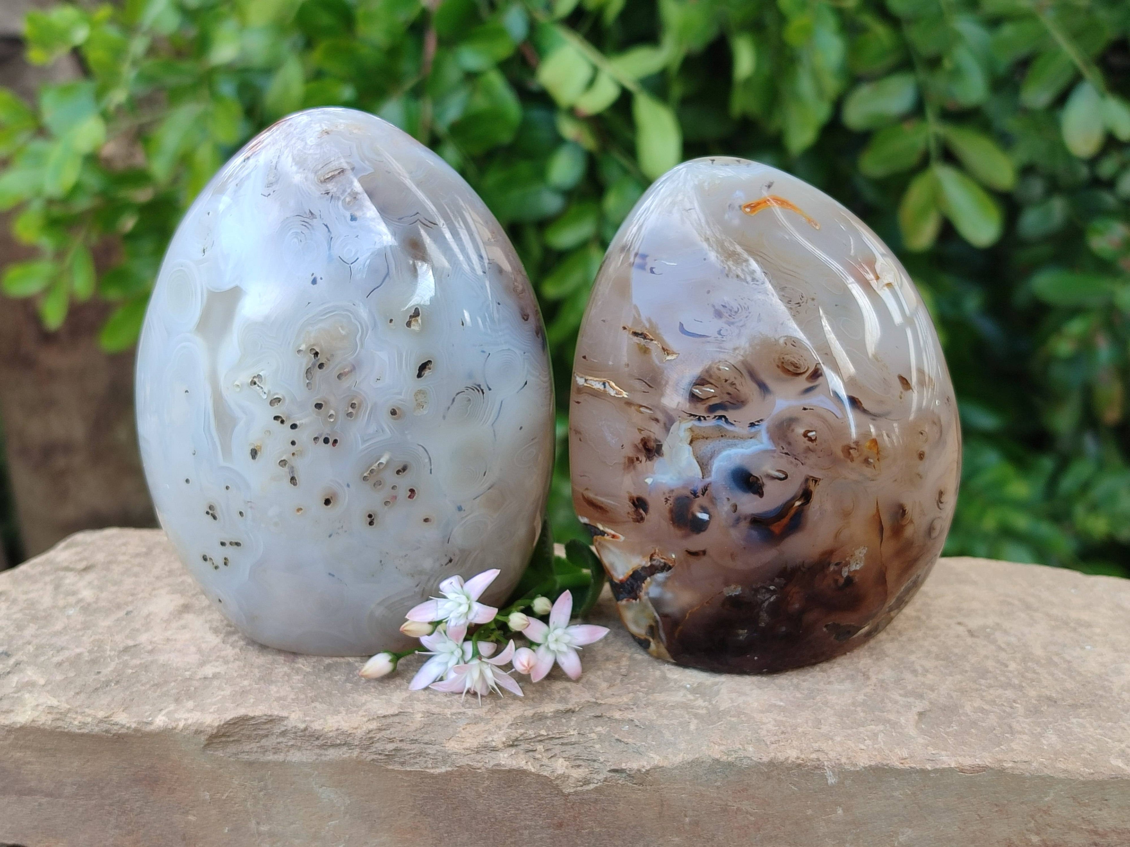 Polished Agate Standing Free Forms x 2 From Madagascar - Toprock Gemstones and Minerals 