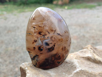Polished Agate Standing Free Forms x 2 From Madagascar - Toprock Gemstones and Minerals 