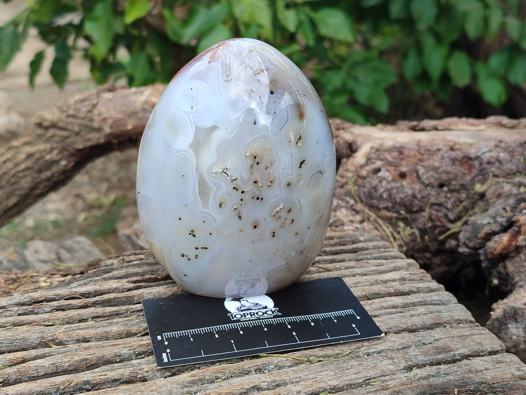 Polished Agate Standing Free Forms x 2 From Madagascar - Toprock Gemstones and Minerals 