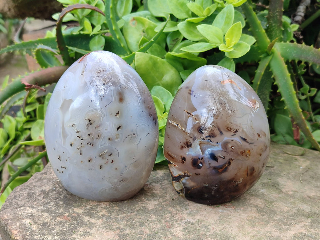 Polished Agate Standing Free Forms x 2 From Madagascar - Toprock Gemstones and Minerals 