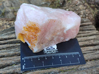 Natural Pink Rose Quartz Cobbed Specimens x 12 From North Cape, South Africa - Toprock Gemstones and Minerals 