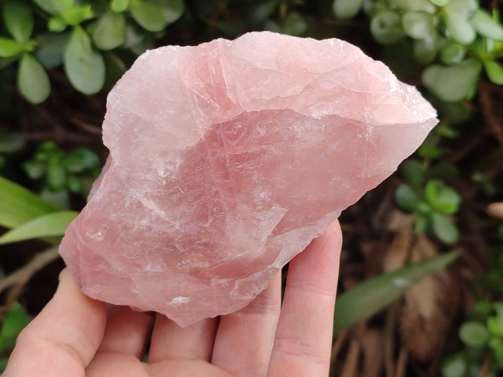 Natural Pink Rose Quartz Cobbed Specimens x 12 From North Cape, South Africa - Toprock Gemstones and Minerals 