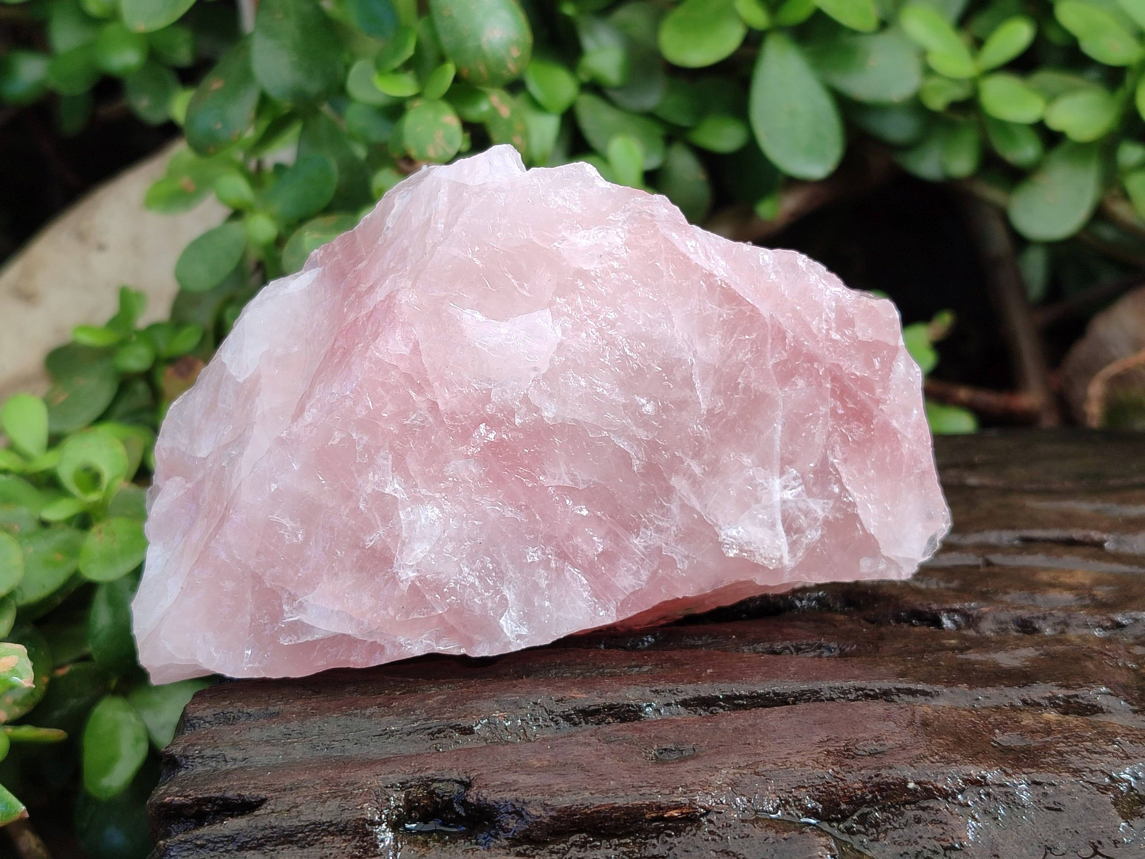 Natural Pink Rose Quartz Cobbed Specimens x 12 From North Cape, South Africa - Toprock Gemstones and Minerals 