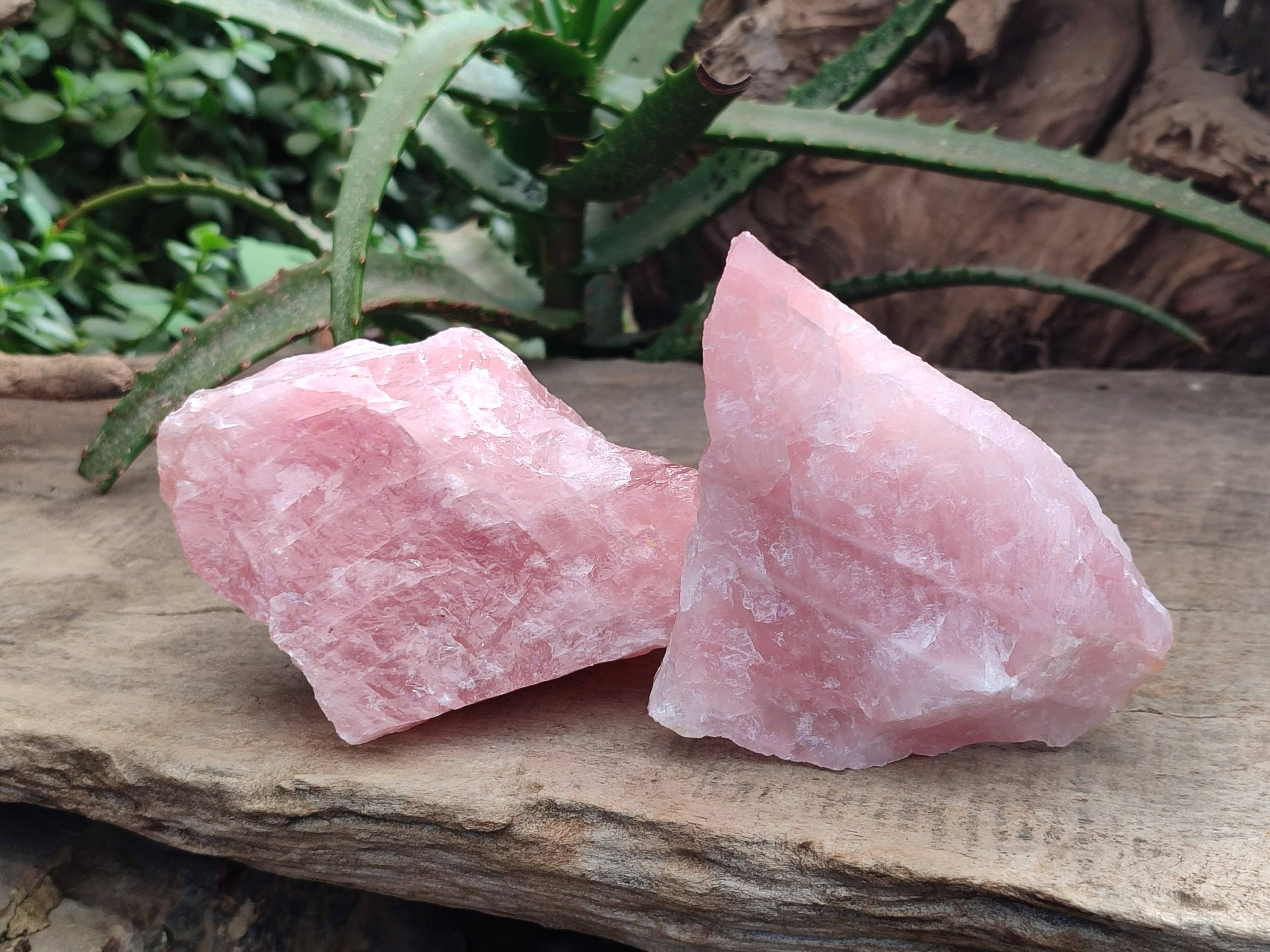 Natural Pink Rose Quartz Cobbed Specimens x 12 From North Cape, South Africa - Toprock Gemstones and Minerals 