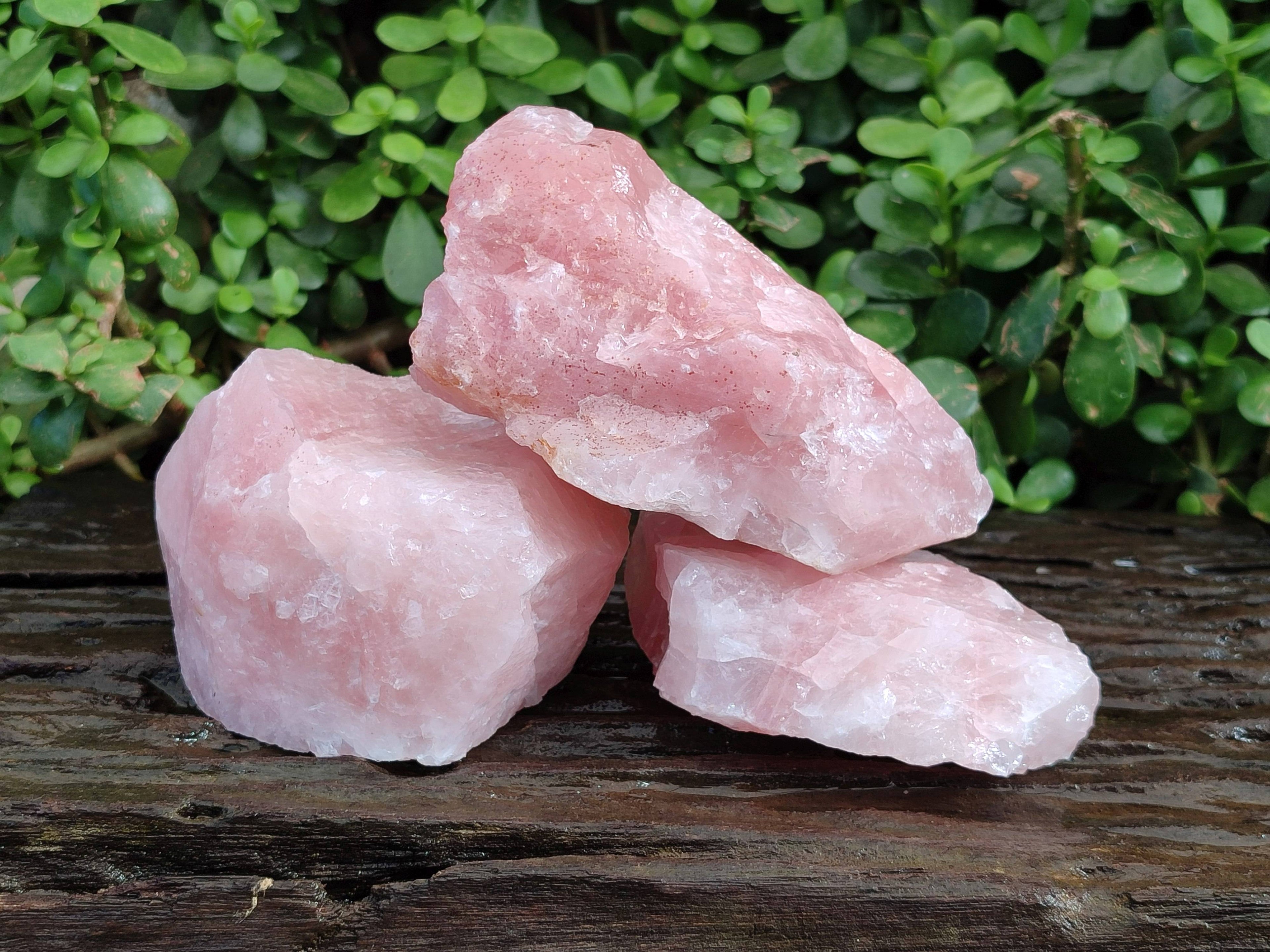 Natural Pink Rose Quartz Cobbed Specimens x 12 From North Cape, South Africa - Toprock Gemstones and Minerals 