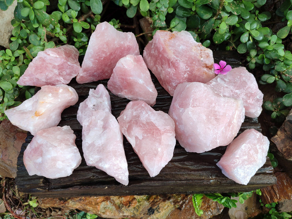 Natural Pink Rose Quartz Cobbed Specimens x 12 From North Cape, South Africa - Toprock Gemstones and Minerals 