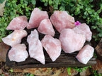 Natural Pink Rose Quartz Cobbed Specimens x 12 From North Cape, South Africa - Toprock Gemstones and Minerals 