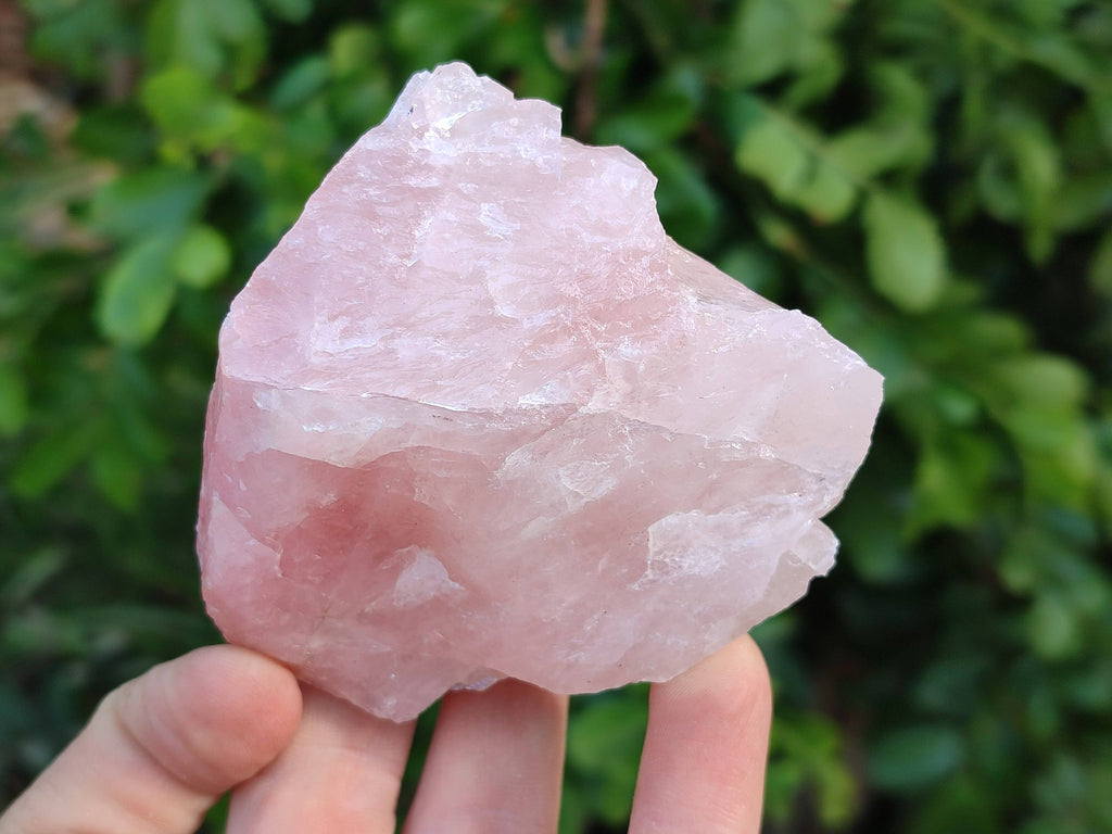 Natural Pink Rose Quartz Cobbed Specimens x 12 From North Cape, South Africa - Toprock Gemstones and Minerals 
