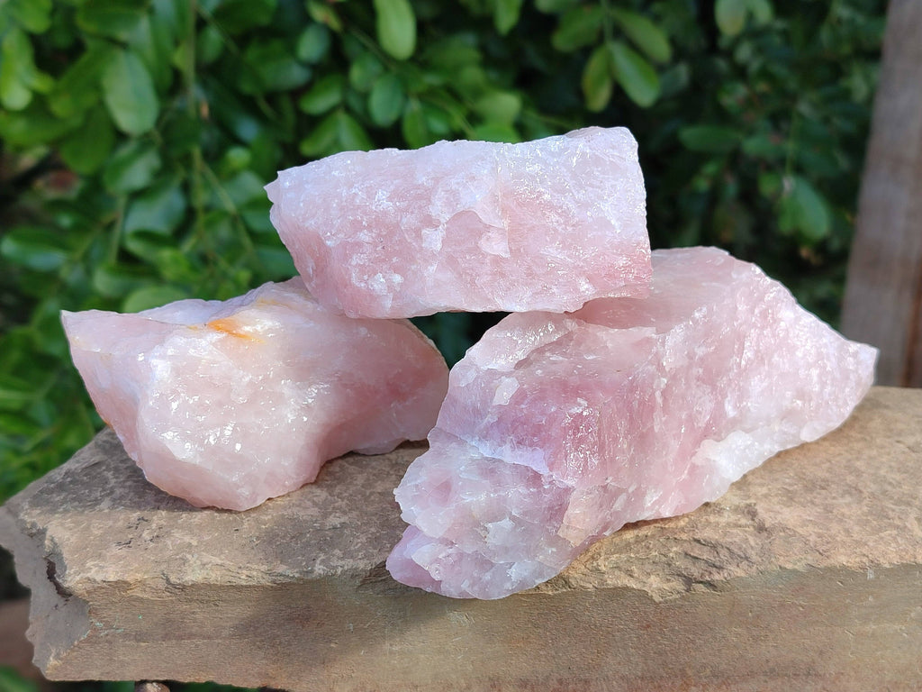 Natural Pink Rose Quartz Cobbed Specimens x 12 From North Cape, South Africa - Toprock Gemstones and Minerals 