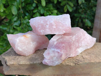 Natural Pink Rose Quartz Cobbed Specimens x 12 From North Cape, South Africa - Toprock Gemstones and Minerals 