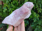 Natural Pink Rose Quartz Cobbed Specimens x 12 From North Cape, South Africa - Toprock Gemstones and Minerals 