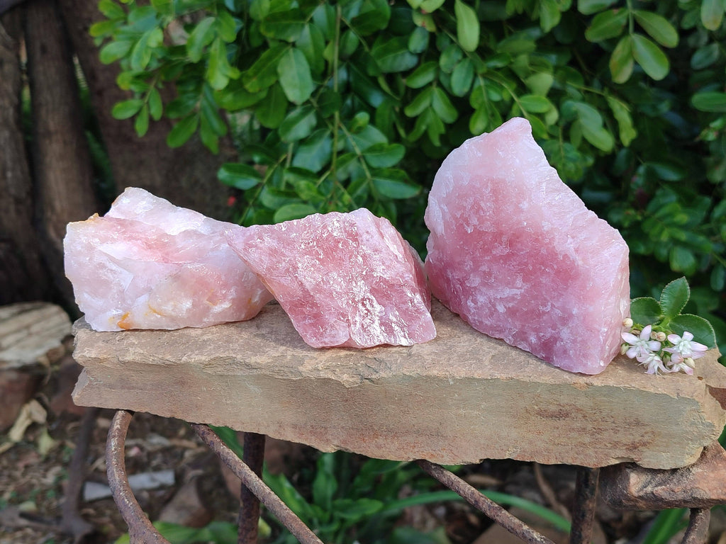 Natural Pink Rose Quartz Cobbed Specimens x 12 From North Cape, South Africa - Toprock Gemstones and Minerals 