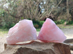 Natural Pink Rose Quartz Cobbed Specimens x 12 From North Cape, South Africa - Toprock Gemstones and Minerals 