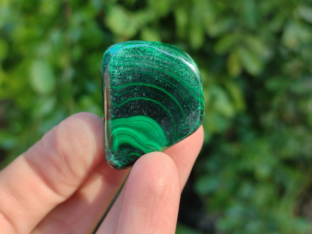 Polished Flower Banded Malachite Free Forms x 35 From Congo - Toprock Gemstones and Minerals 