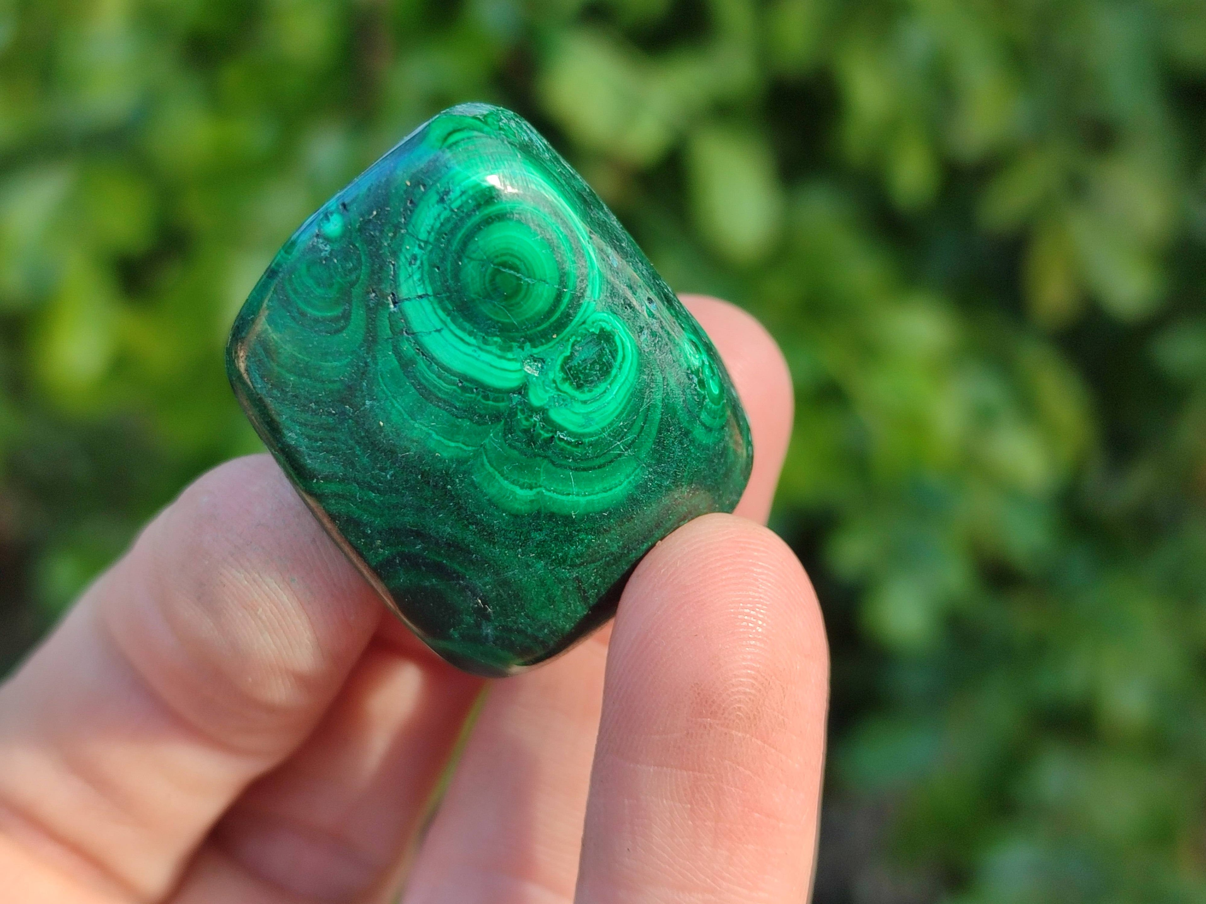 Polished Flower Banded Malachite Free Forms x 35 From Congo - Toprock Gemstones and Minerals 