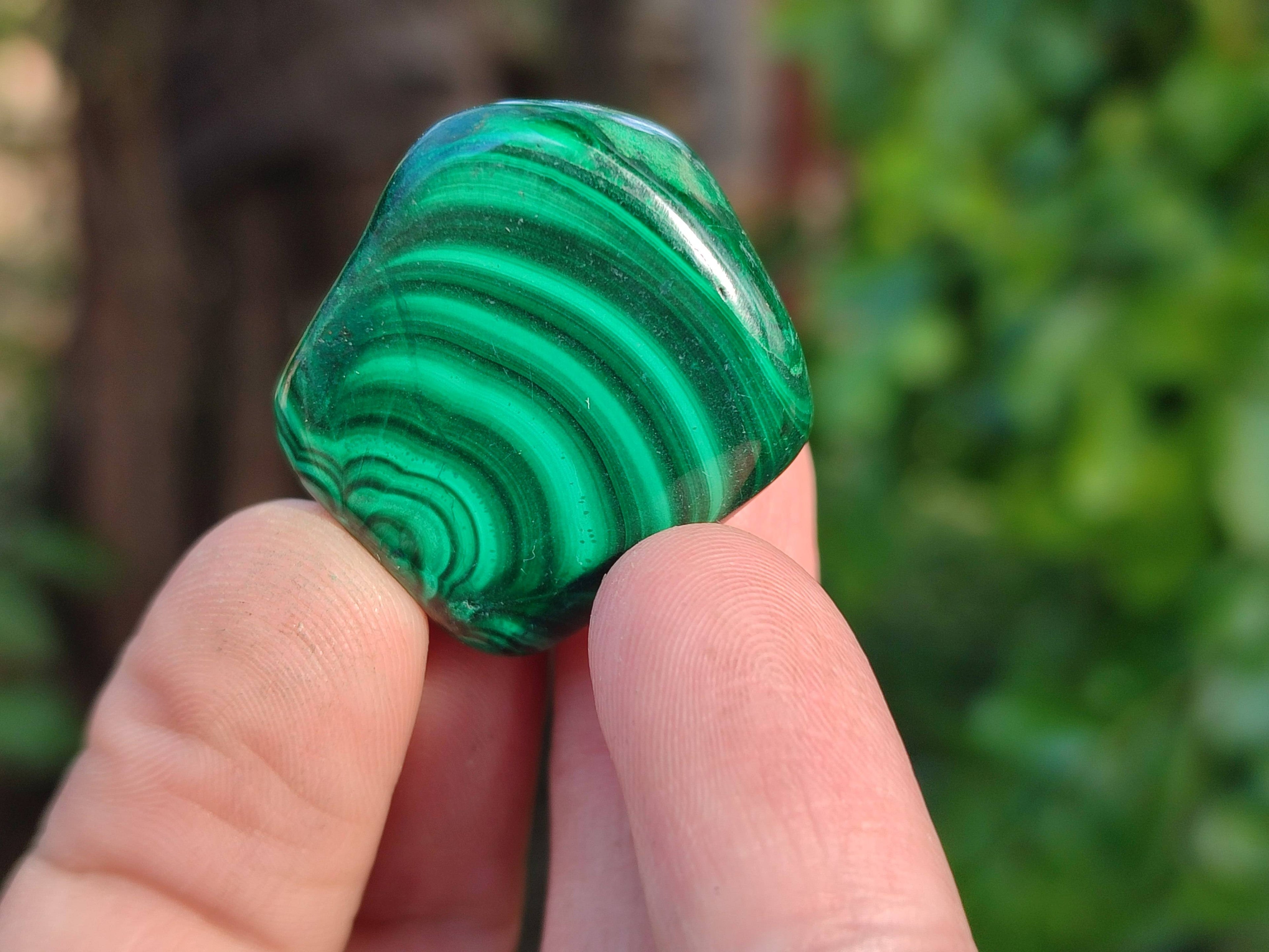 Polished Flower Banded Malachite Free Forms x 35 From Congo - Toprock Gemstones and Minerals 