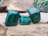 Polished Flower Banded Malachite Free Forms x 35 From Congo