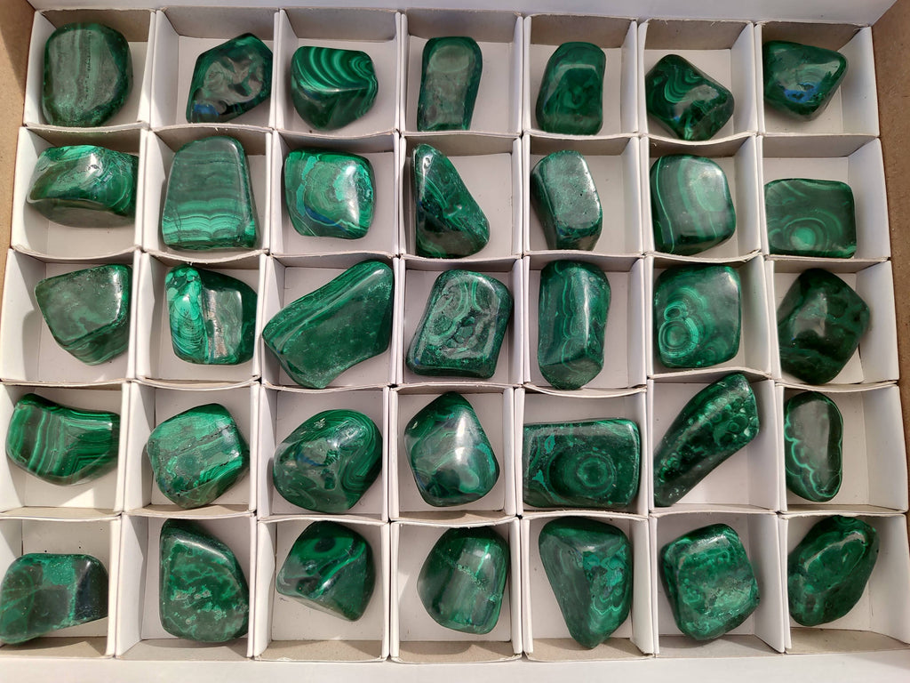 Polished Flower Banded Malachite Free Forms x 35 From Congo - Toprock Gemstones and Minerals 
