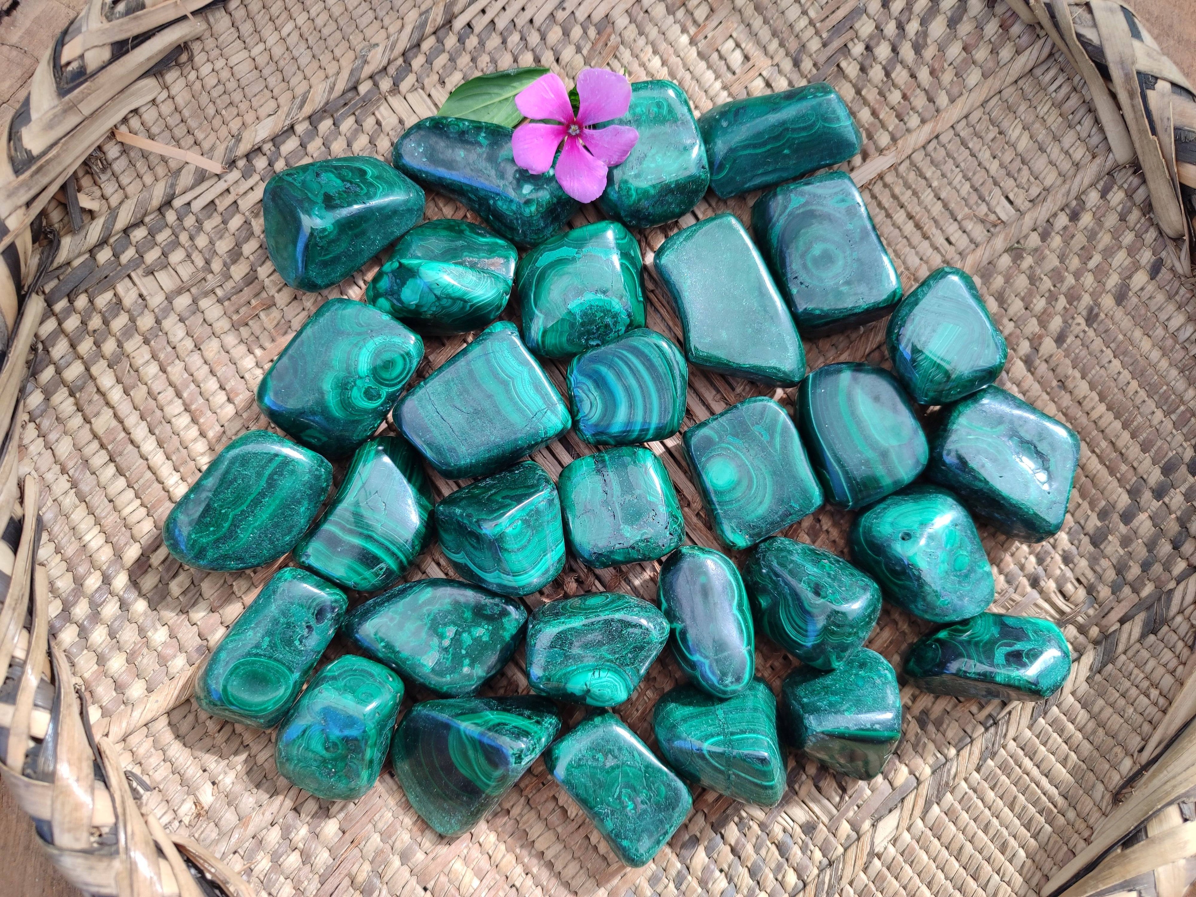 Polished Flower Banded Malachite Free Forms x 35 From Congo - Toprock Gemstones and Minerals 