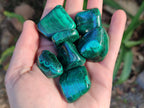 Polished Flower Banded Malachite Free Forms x 35 From Congo - Toprock Gemstones and Minerals 