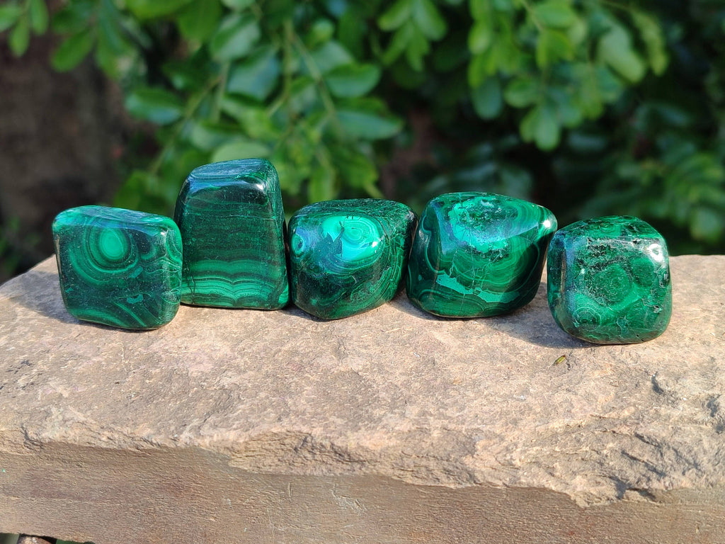 Polished Flower Banded Malachite Free Forms x 35 From Congo - Toprock Gemstones and Minerals 