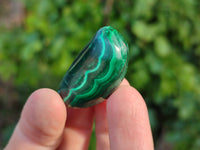 Polished Flower Banded Malachite Free Forms x 35 From Congo