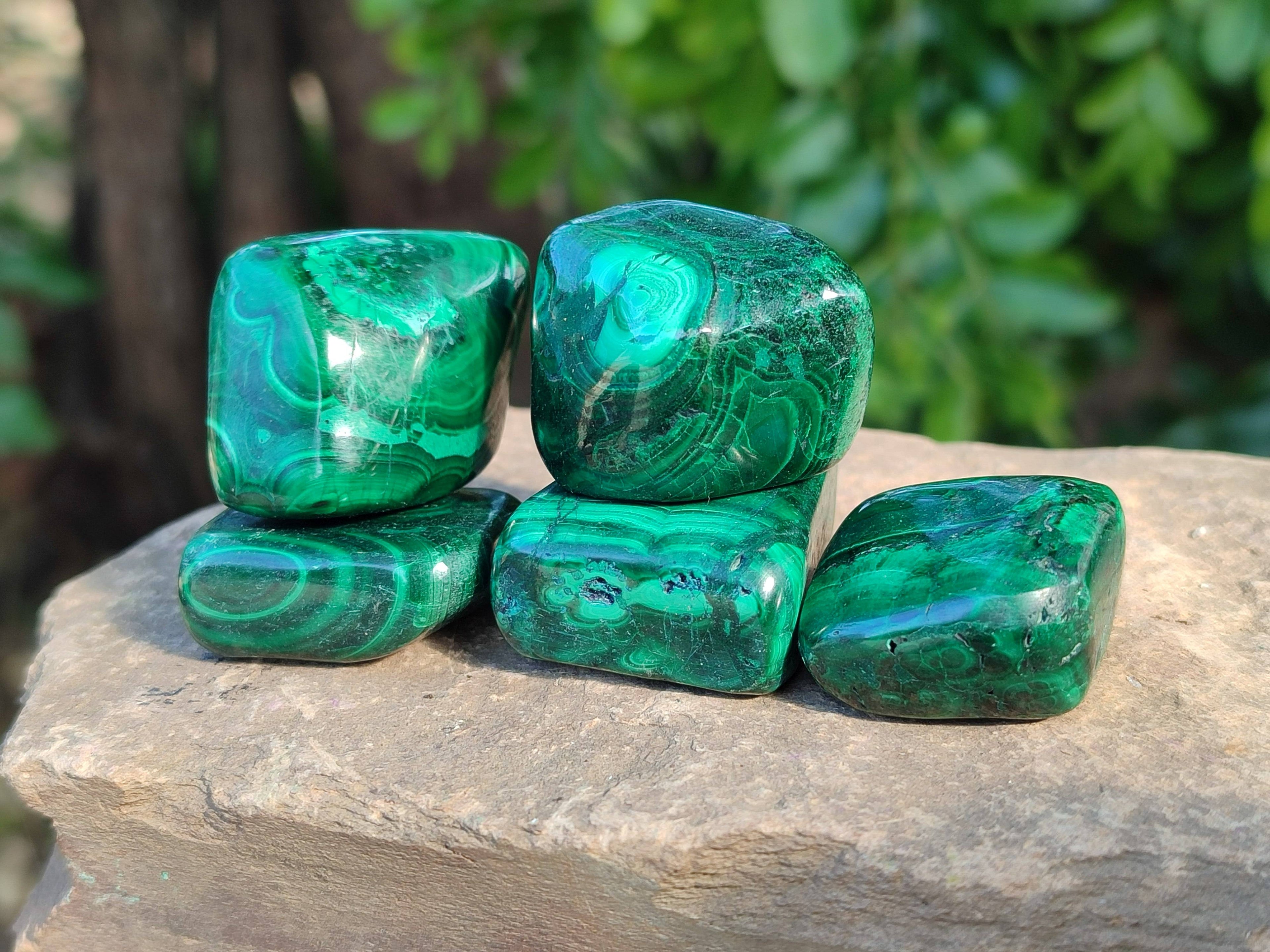 Polished Flower Banded Malachite Free Forms x 35 From Congo - Toprock Gemstones and Minerals 