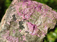 Natural Cobbed Stichtite Specimens x 6 From Barberton, South Africa