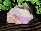 Natural Cobbed Stichtite Specimens x 6 From Barberton, South Africa - Toprock Gemstones and Minerals 