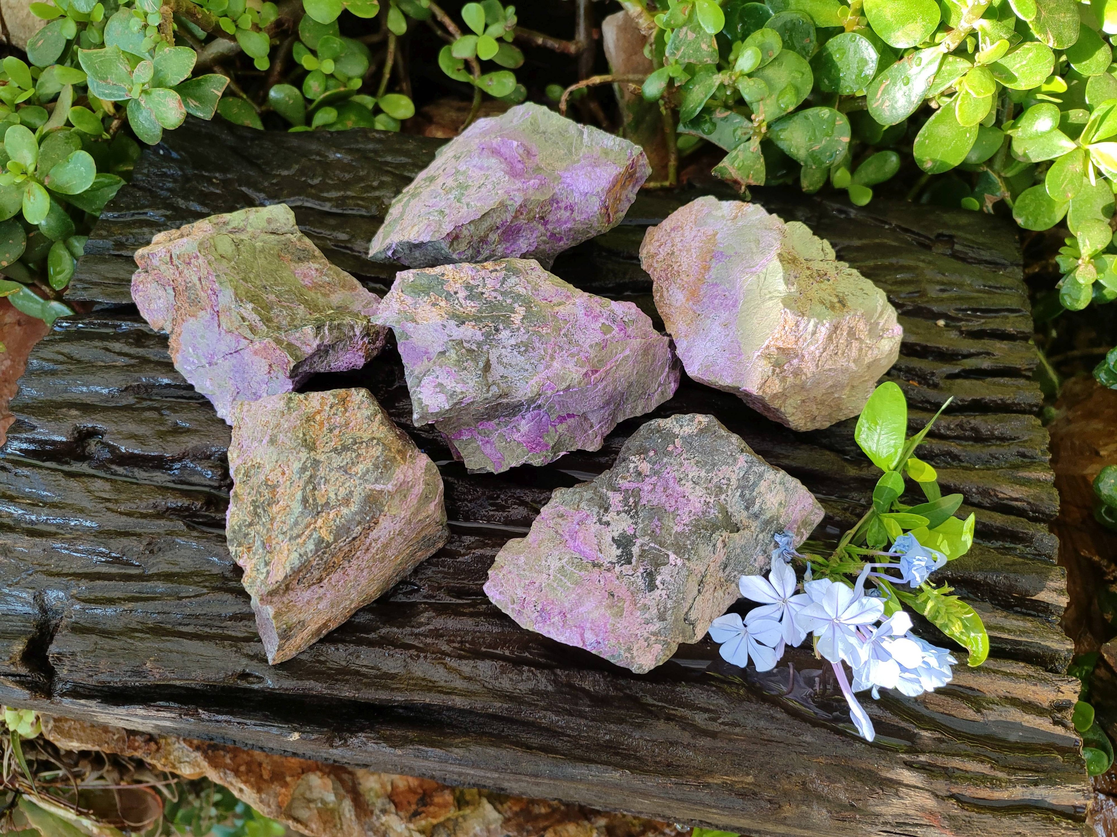 Natural Cobbed Stichtite Specimens x 6 From Barberton, South Africa - Toprock Gemstones and Minerals 