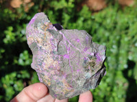 Natural Cobbed Stichtite Specimens x 6 From Barberton, South Africa