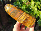 Polished Tigers Eye Standing Free Forms x 2 From South Africa - Toprock Gemstones and Minerals 