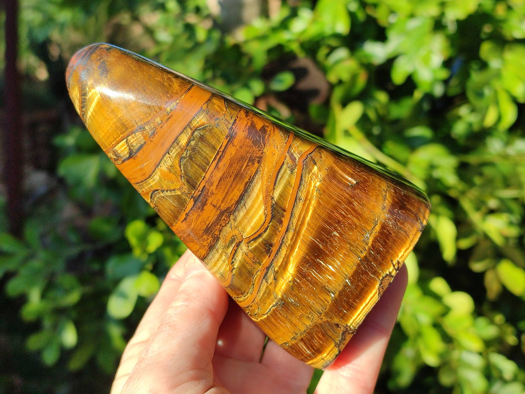 Polished Tigers Eye Standing Free Forms x 2 From South Africa - Toprock Gemstones and Minerals 