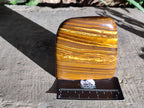 Polished Tigers Eye Standing Free Forms x 2 From South Africa - Toprock Gemstones and Minerals 